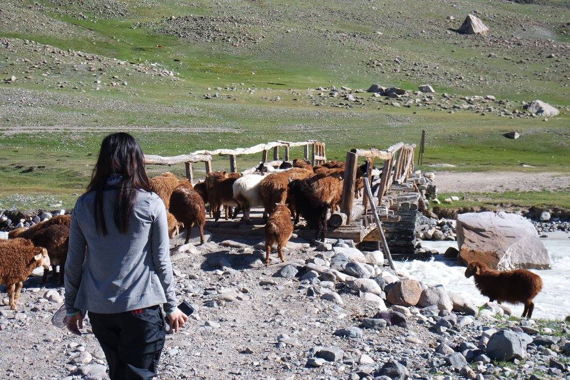 Trekking in Mongolia