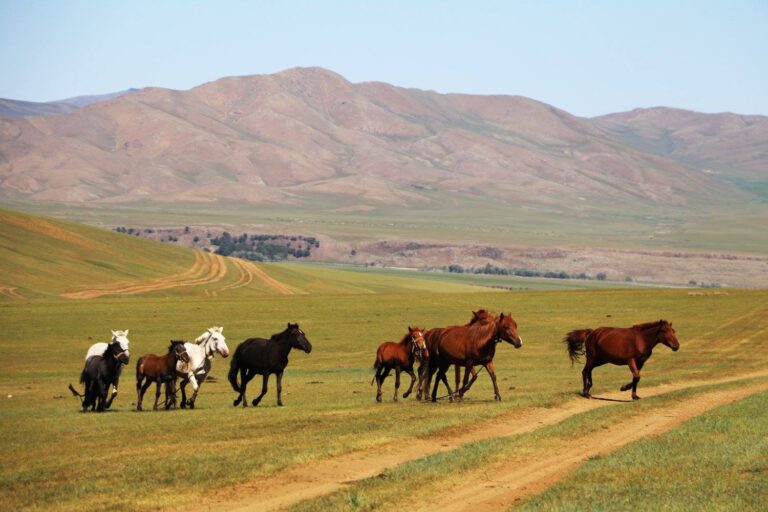 tourist destinations of mongolia