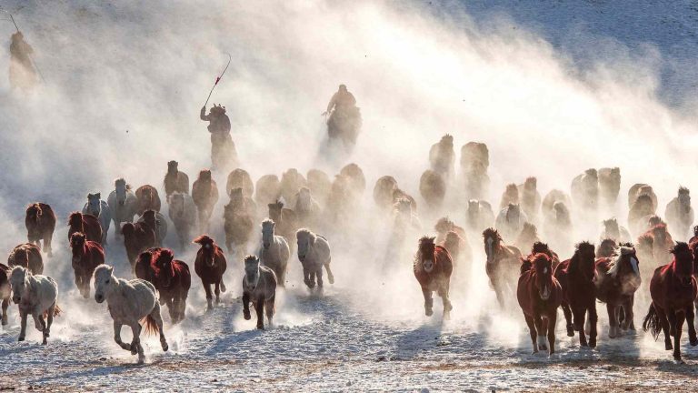 Mongolian adventure tour